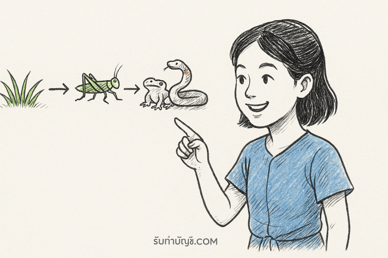 โซ่ อาหาร ของ สิ่ง มี ชีวิต