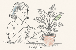 รวม 9 ว่านเศรษฐีน้ำเต้าทองวิธีปลูกมงคลหลายบ้านนิยมทองโชคลาภ?