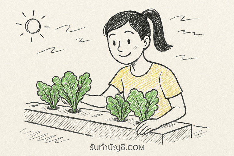 วิธีปลูกไฮโดรโปนิกส์