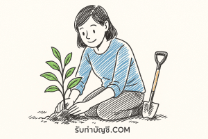 เซียงเช่าวิธีปลูก 9 สมุนไพรความนิยมสูงสรรพคุณยาระบบไหลเวียน?